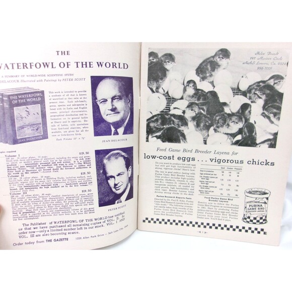 Vintage Game Bird Breeders Pheasant Fanciers Gazette Magazine January 1961 - Picture 2 of 4